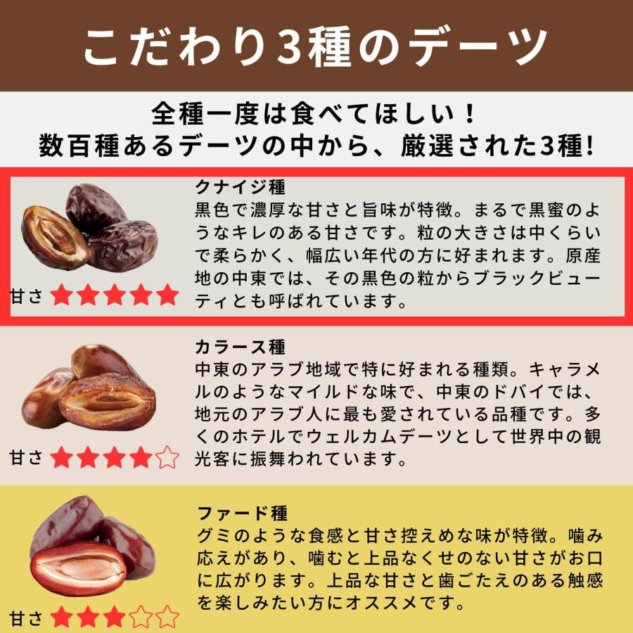 デーツクラウン デーツ 無添加 100g ×1袋  (黒糖のような甘さのクナイジ種)  残留農薬検査済 非遺伝子組換え スーパーフード ドライフルーツ