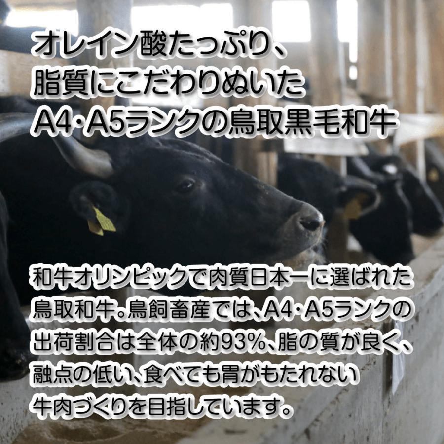 牛肉 焼肉 国産 上ロース 特上カルビ 希少部位の焼肉セット 焼肉 600g 鉄板焼き BQQ バーベキュー 鳥取県産 ギフト