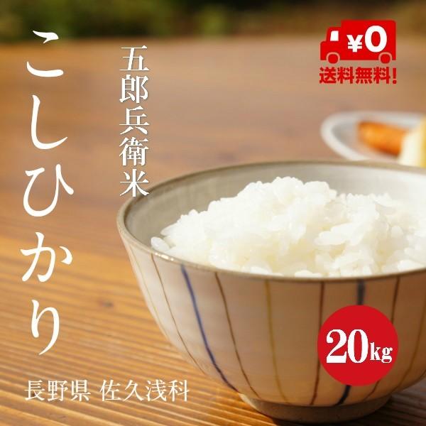 新米 令和５年産 長野県産 こしひかり 五郎兵衛米 １等米 白米 ２０kg