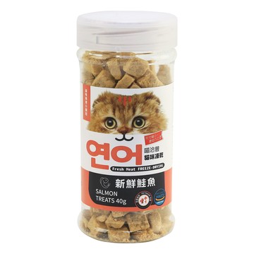 CAT CHUP 貓咪 小顆粒凍乾零食 專用  鮭魚  40g  1罐