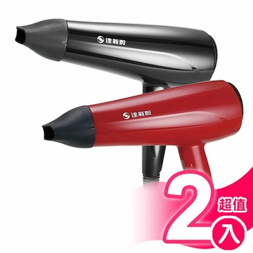 超值2入組【達新】沙龍級專業吹風機 TS-2300