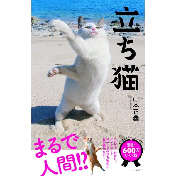 立ち猫 山本正義