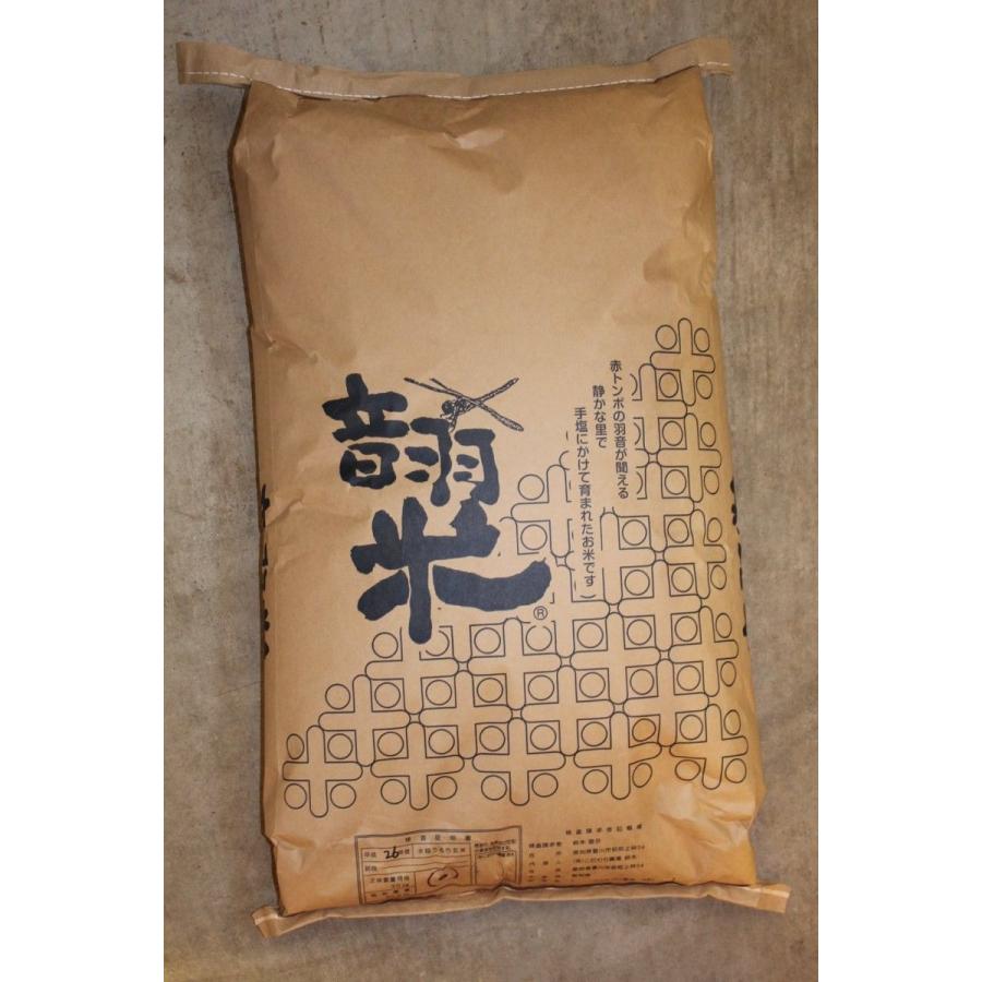 令和5年度愛知県産音羽米　無農薬玄米３０kg（5kg×6個）