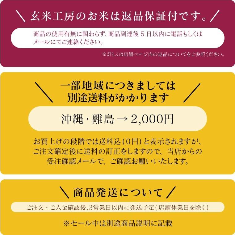 新米入り 米 お米 20kg ふく姫  玄米 ブレンド米 セール 訳あり 無洗米 送料無料 中粒米