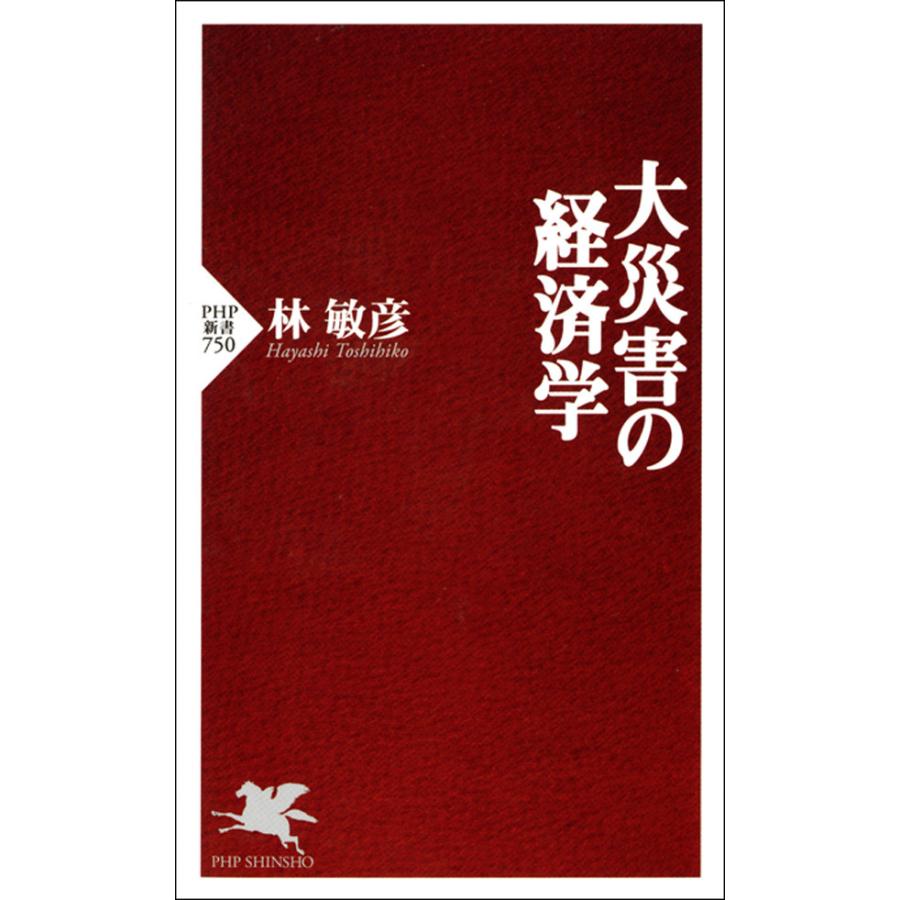 大災害の経済学 林敏彦