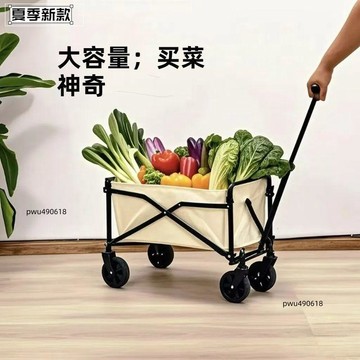 ✨臺灣出貨 迷你版小拉車戶外露營車買菜購物車取快遞神器便攜收納摺疊車