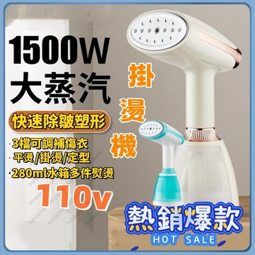 手持掛燙機 手持蒸氣掛燙機 迷你蒸氣掛燙機 蒸汽掛燙機  300ml 掛燙機 蒸氣熨鬥 掛燙 平燙