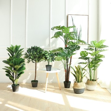 北歐創意室內裝飾花卉綠植盆栽大盆景橄欖樹仿真植物客廳落地擺件 預購ch1942 Yahoo奇摩超級商城 Line購物