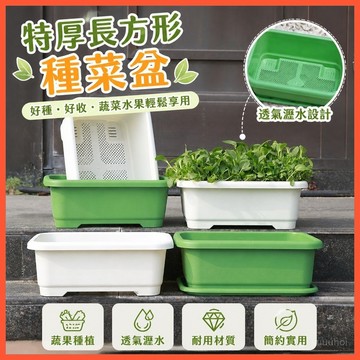 特厚長方形種菜盆 陽台大號塑膠花盆 家庭蔬果專用種植容器 屋頂陽台園藝栽培盆 家用種菜收納盆 台灣出貨