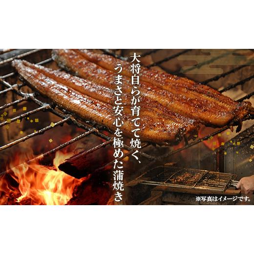 ふるさと納税 高知県 香南市 うなぎ屋きた本 うなぎ蒲焼き120g 3尾セット(無頭) un-0011