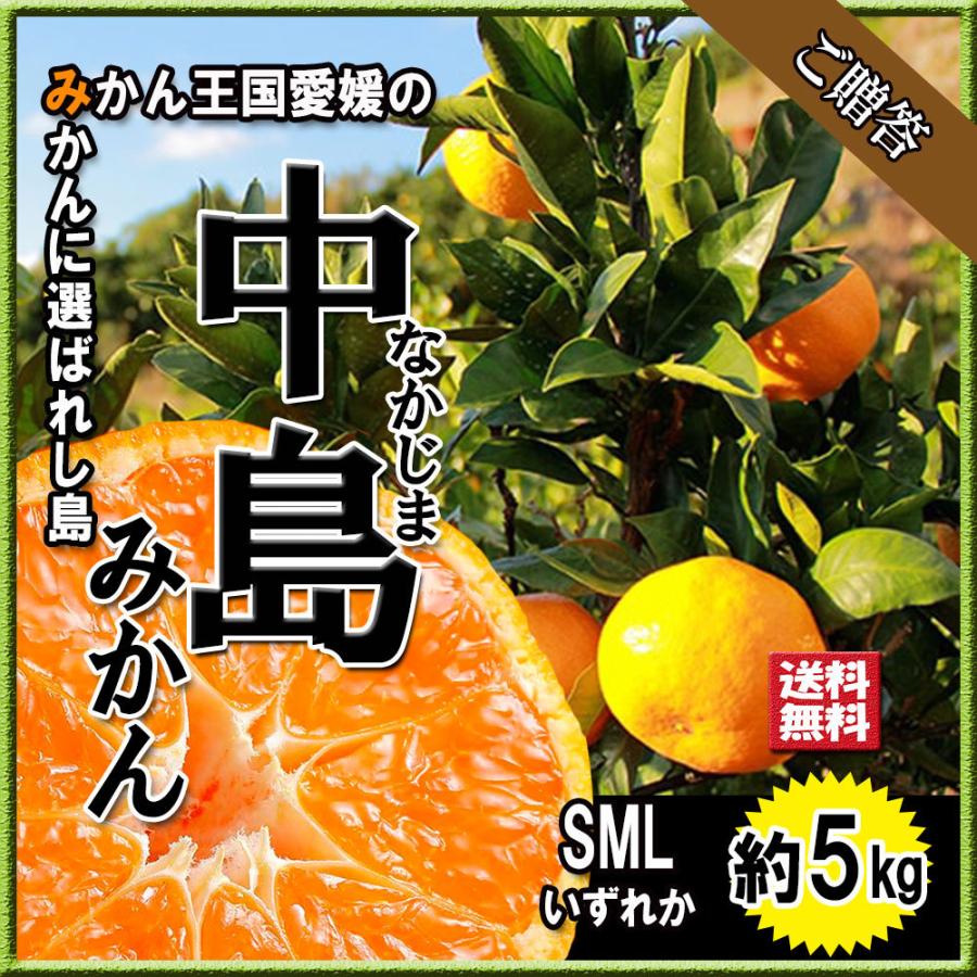 みかん 贈答 中島みかん 御歳暮 箱買い 間違いない品質 送料無料 約5ｋｇ SMLいずれか