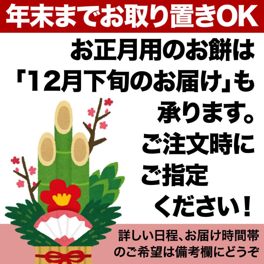 今議特撰 越後こがね餅 10枚入×6袋 3kg 送料無料 （北海道、九州、沖縄除く）