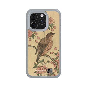 iPhone 16 Pro AirX 流變灰 - Van Gogh Museum - 櫻花樹上的伯勞鳥