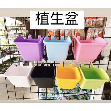 植生盆 多肉植物/園藝/資材/觀葉植物/花卉/壁掛盆/壁掛花盆
