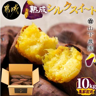 ふるさと納税 都城市 山下農園の熟成シルクスイート 10kg