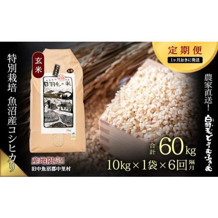 ふるさと納税 ≪令和5年産≫農家直送！魚沼産コシヒカリ特別栽培「白羽毛の米」玄米(10kg×1.. 新潟県十日町市