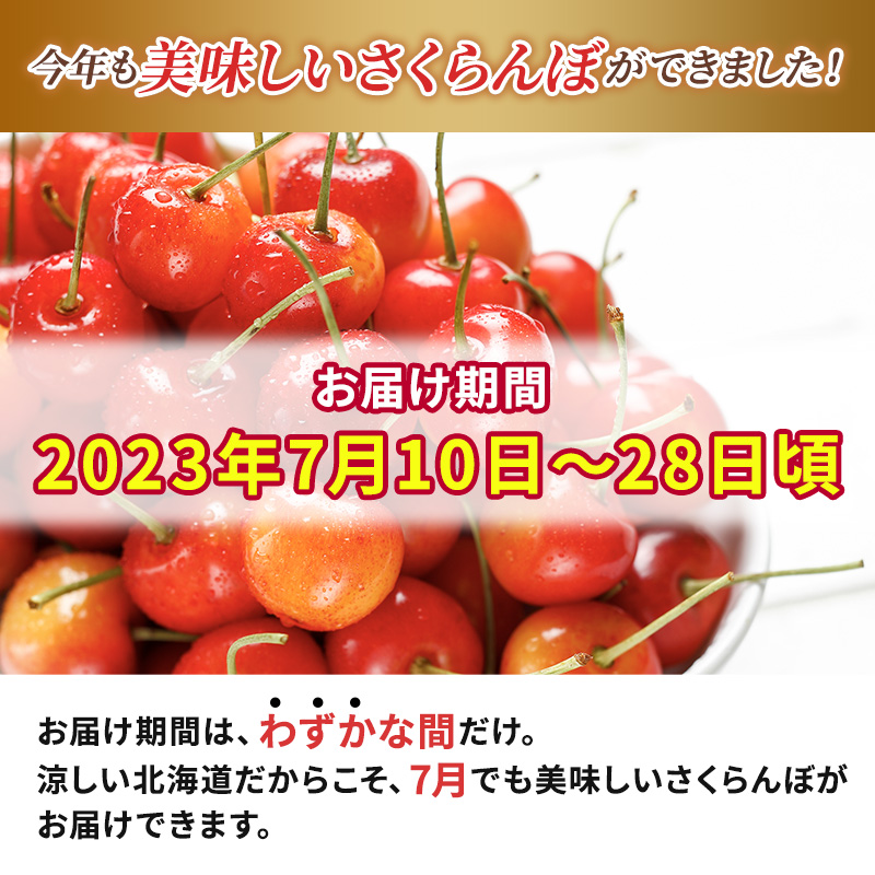 先行受付 2024年7月から出荷 北海道 仁木町産 サクランボ 紅秀峰 600g 厳選品  松山商店