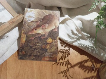 菊池式龜殼花-臺灣特有動物系列-特有種 台灣 明信片