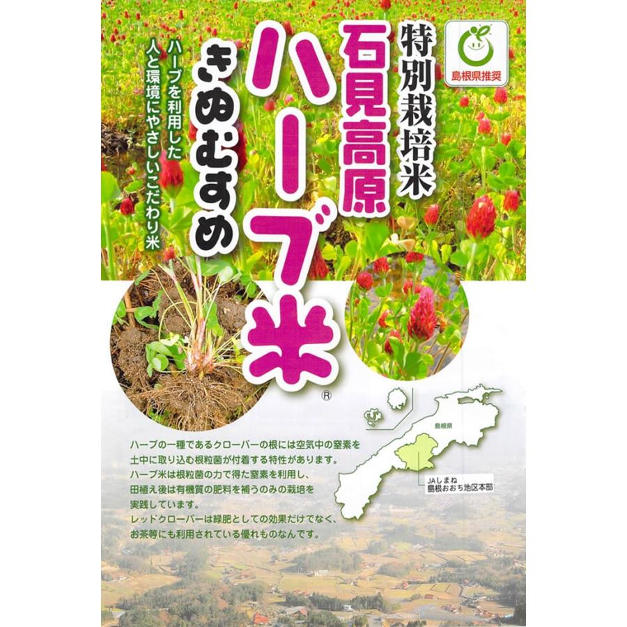 島根県産　特別栽培米　ハーブきぬむすめ　令和4年産　白米5kg　送料無料（本州のみ）