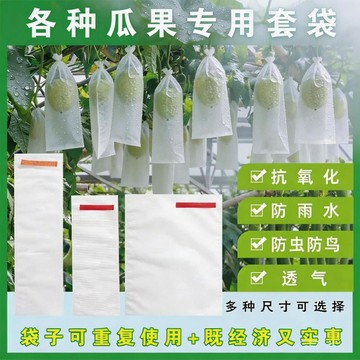🔥臺灣熱賣⚡️瓜果防蟲保護袋水果套袋防蠅防鳥防水葡萄梨蘋果通用廠家直供批發🎉
