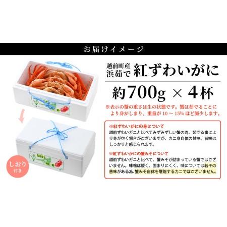 ふるさと納税 越前がに本場の越前町からお届け！浜茹で紅ずわいがに 約700g × 4杯 食べ方しおり付【かに カニ 蟹 紅ズワイ ズワ.. 福井県越前町