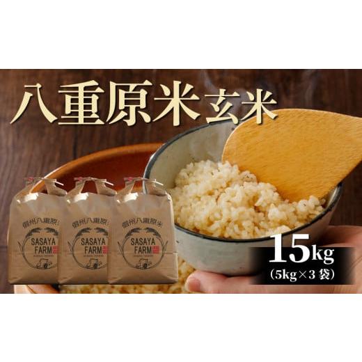 ふるさと納税 長野県 東御市 八重原米15kg（5kg×3袋）玄米