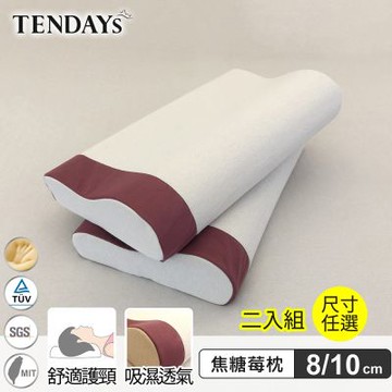 TENDAYS 玩色柔眠記憶枕2入組(焦糖莓 8/10cm任選)
