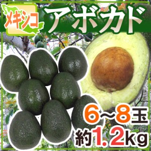 メキシコ産 ”アボカド” 6～8玉 約1.2kg 送料無料