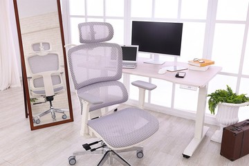 irocks T07SE 人體工學辦公椅 特仕版-芋泥紫 T07 Special Editio