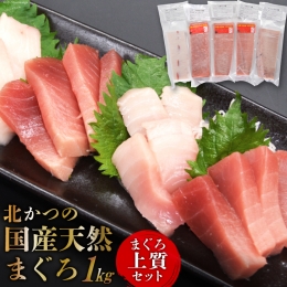 北かつのマグロ上質セット (マグロ中トロ 200g マグロ上質赤身 200g×2 メカジキ 200g びんちょう 200g）合計1kg [北かつ商事 宮城県 気仙沼市 20562377] 魚 鮪 マグロ トロ 中トロ まぐろ 赤身 刺身 魚介類 魚介 新鮮 高級 メカジキ メバチ めばち 冷凍