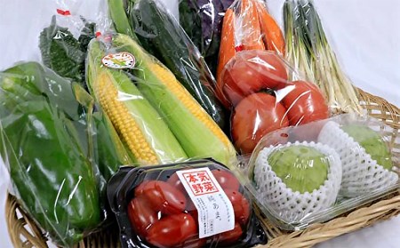 沖縄産の野菜・フルーツ詰め合わせ＜おまかせセット＞