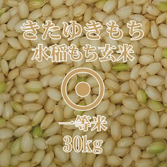 北海道産 きたゆきもち 玄米 30kg　令和5年産　一等米　北海道米　糯米　もち米玄米30kg