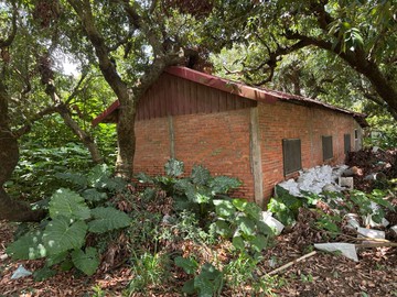 田加建274坪｜台中市神岡區神林段