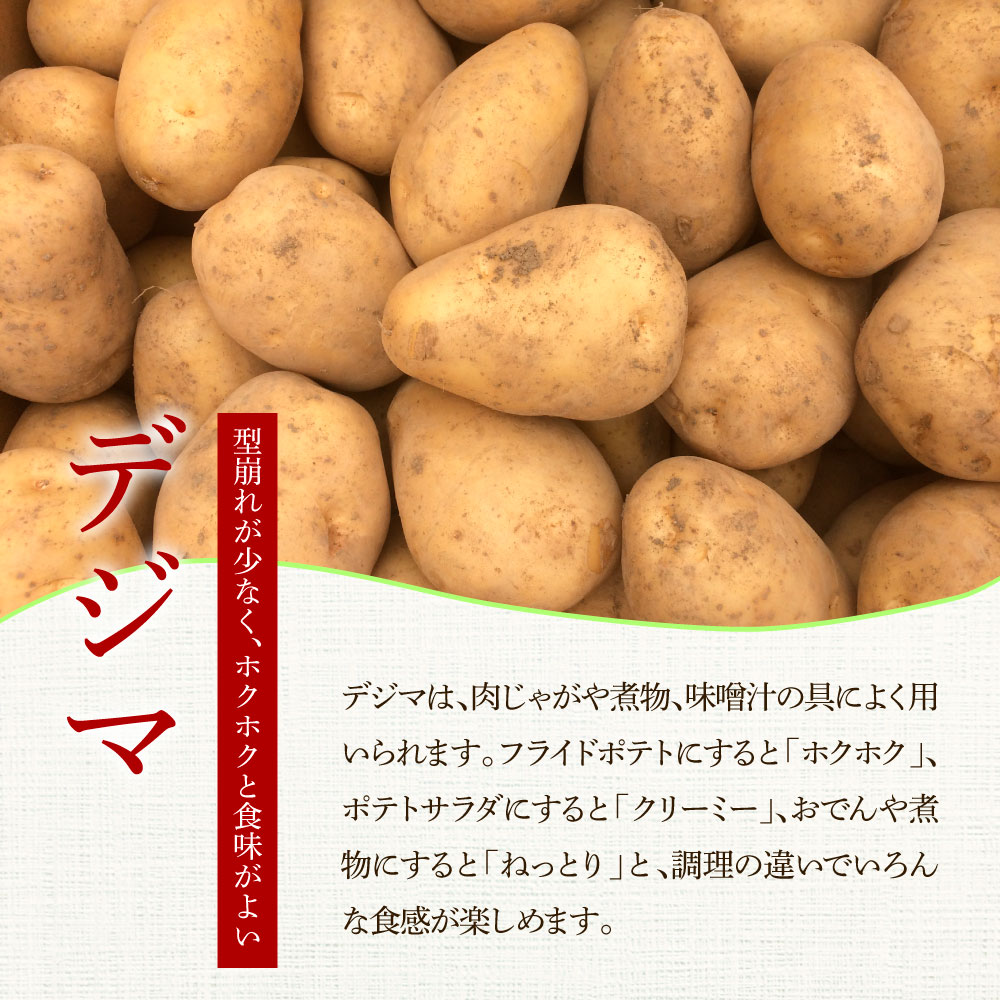 ★先行受付：2024年5月発送開始★大野台地で採れた 令和6年産新じゃがいも『デジマ』10kg 10キロ イモ ジャガイモ 芋 いも ポテト 野菜 おいしい ふっくら 旬 国産 お取り寄せ 送料無料