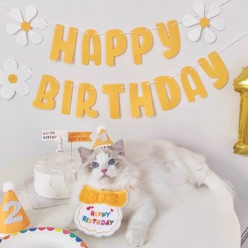 🐕‍🦺 隔日到貨 🐈‍⬛ 生日佈置 生日裝飾 口水巾 盤子 寵物口水巾 貓咪口水巾 貓咪生日 狗狗生日 寵物生日