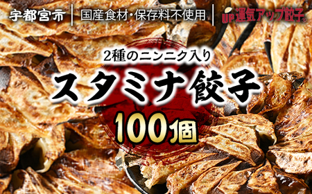 宇都宮餃子 ニンニクマシマシスタミナ餃子100個 保存料不使用