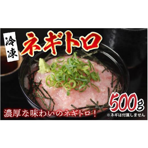 ふるさと納税 福井県 鯖江市 ネギトロ 500g [A-11007]