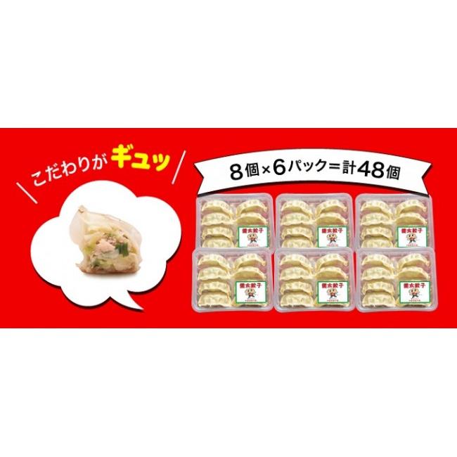 ふるさと納税 栃木県 さくら市 「宇都宮餃子館」健太餃子 960ｇ（４８個）≪冷凍餃子 冷凍食品 ギョーザ グルメ 食品 惣菜 中華惣菜 点心 中華≫