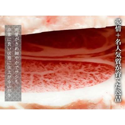 ふるさと納税 総称 山形牛 サーロインステーキ400g（200g×2枚） 山形県鶴岡市