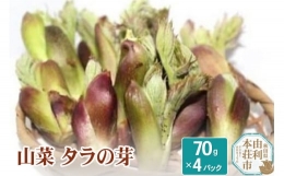 山菜 タラの芽 70g×4パック 天然 （発送は4月～5月頃）