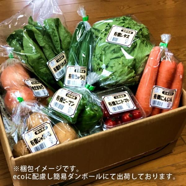 日本の有機野菜セット 旬のおまかせ8種類 全国ご当地生産者のこだわり有機栽培 ベジタブル スムージー 野菜材料 通販 人気［お歳暮 ギフト プレゼント］