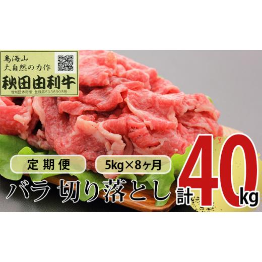 ふるさと納税 秋田県 にかほ市 《定期便》8ヶ月連続 秋田由利牛 バラ切り落とし 5kg（1kg×5パック）