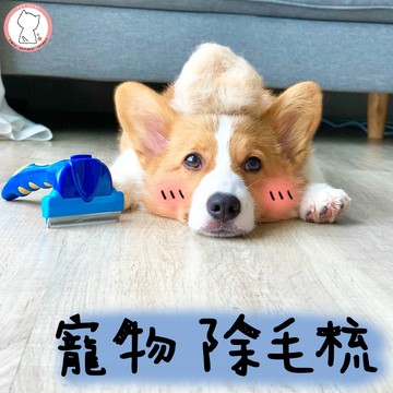【汪喵森活】 除毛梳 狗狗 除毛 脫毛 去毛 理毛 刷毛 梳毛 寵物美容梳 寵物梳子 狗狗梳子 貓咪 柯基 柴犬 哈士奇