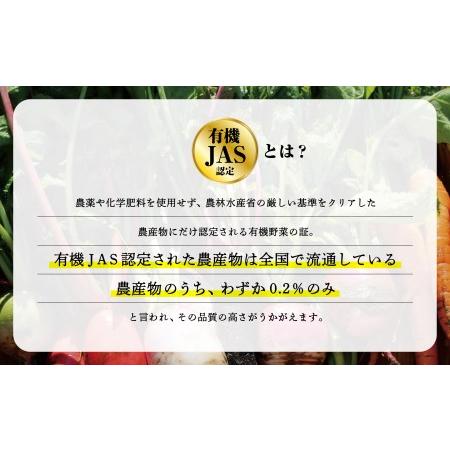 ふるさと納税 西田農園　季節の野菜詰合せ　Aセット 010001 石川県小松市