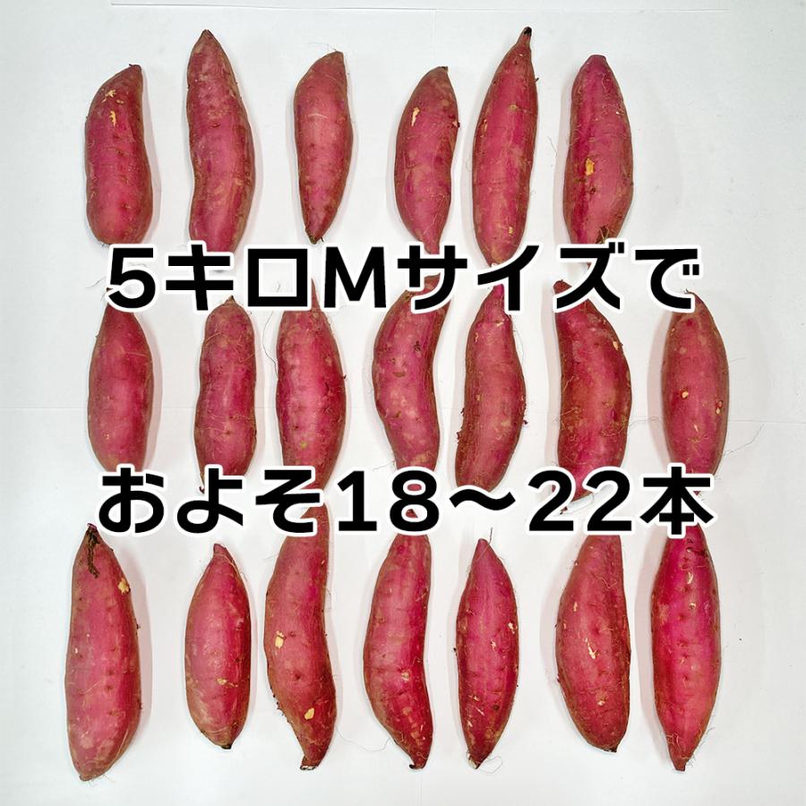 新物  紅はるか 甘いさつまいも 茨城県産 約5kg Mサイズ 約18〜22本 丸進青果セレクト 丸進青果 さつまいも さつま芋 芋 スイートポテト 紅はるか