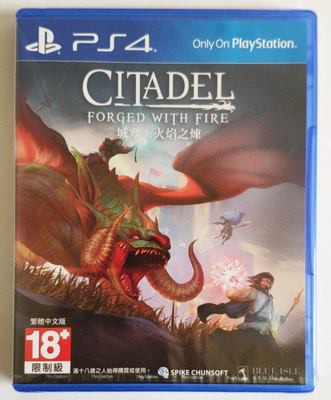 美琪PS4遊戲 城塞 火焰之煉 Citadel: Forged with Fire 中英文