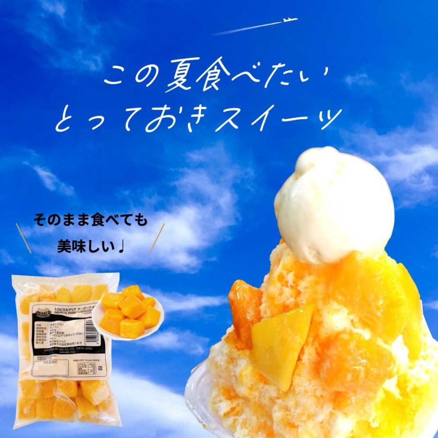 冷凍 マンゴー ダイスカット 500g 1袋 トロピカルマリア アスク 無添加 業務用 冷凍フルーツ 砂糖不使用 マンゴーチャンク