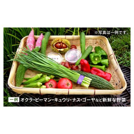 ふるさと納税 特別栽培 季節のお野菜セット 8品 おまかせ やさい 宮崎県えびの市