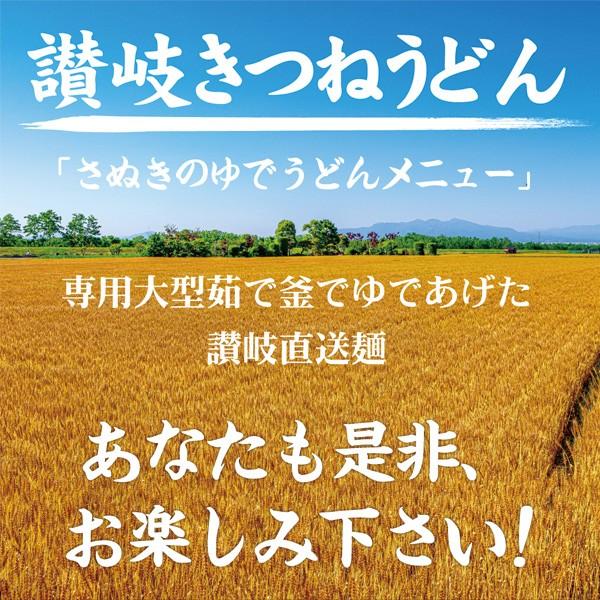 送料無料 ポイント消化 讃岐のきつねうどん 4食 得トクセール 食品 お試し グルメ うどん 讃岐うどん 通販 長期保存 ご当地グルメ