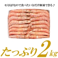 AB345.有頭赤海老（約2キロ）